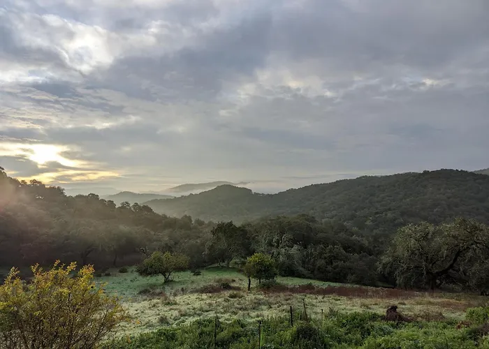 Finca Bravo