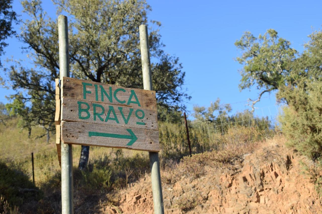 Bravo Apartment *